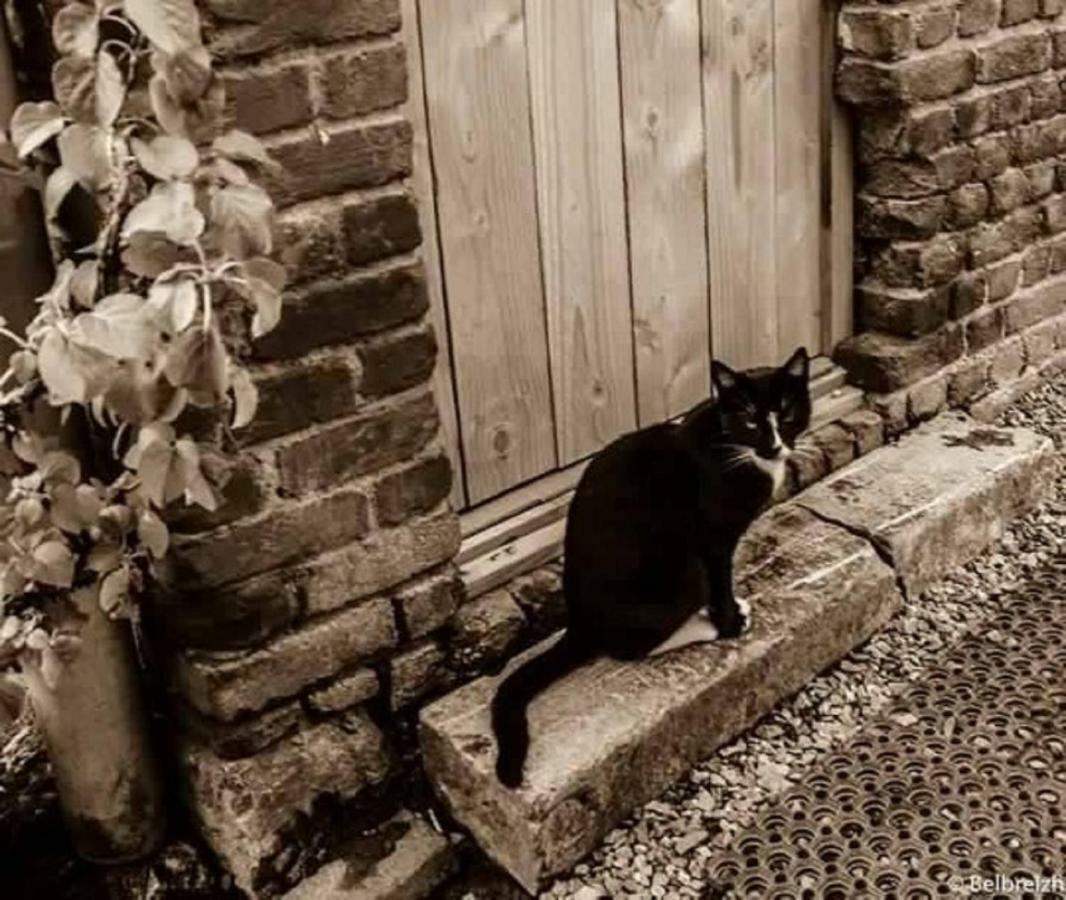 B&B Barvaux, Durbuy Kültér fotó